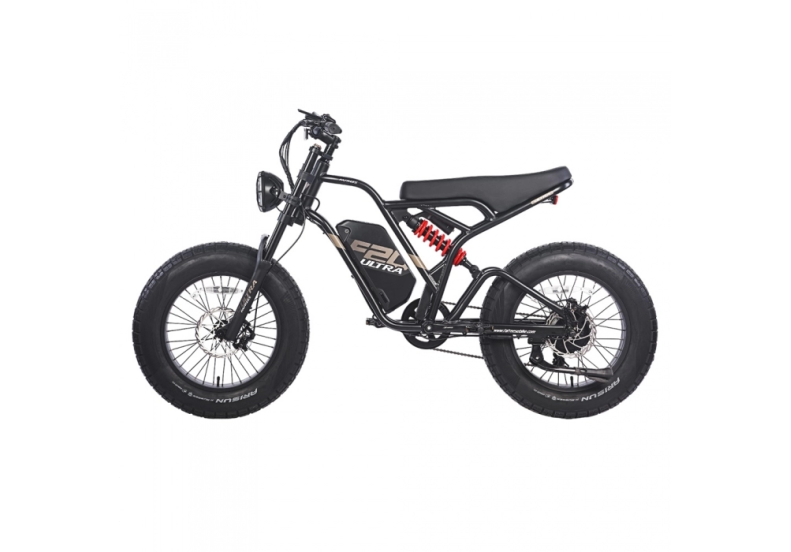 Електровелосипед  FAFREES F20 ULTRA  (48 V, 25 a/h ,750W)