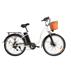  Електровелосипед DYU C6 (350W, 36V 12.5Ah)