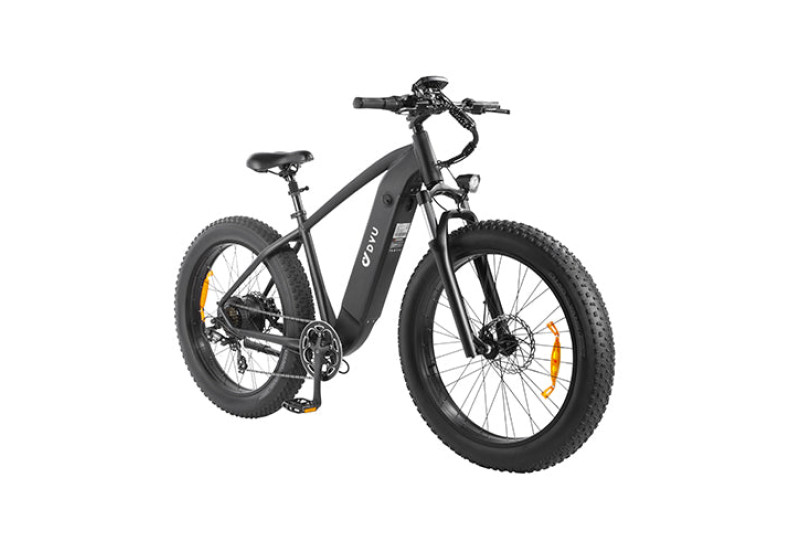 Електровелосипед DYU KING 750 (900W, 48V 18 Ah)