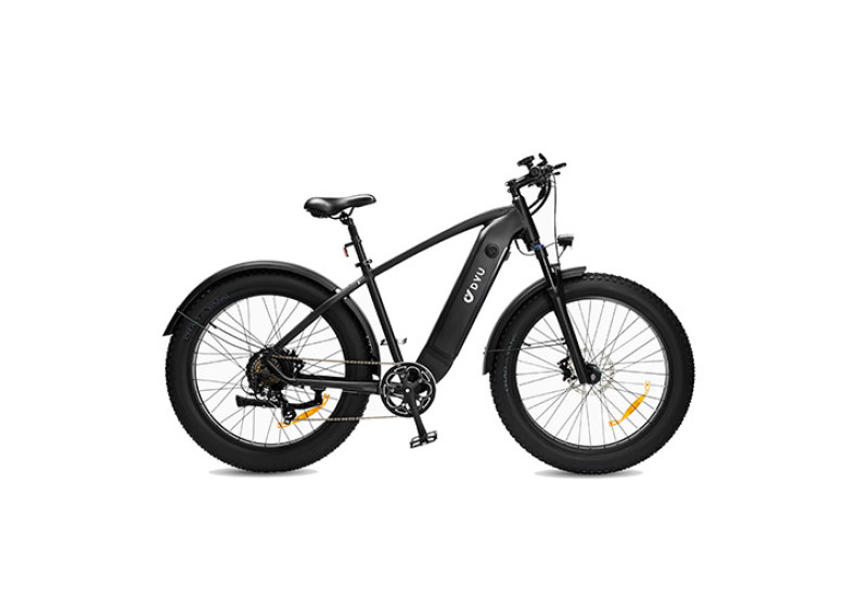 Електровелосипед DYU KING 750 (900W, 48V 18 Ah)