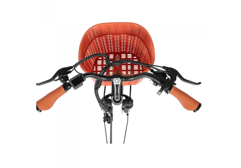  Електровелосипед DYU C6 Pro (350W, 36V 15.6Ah)