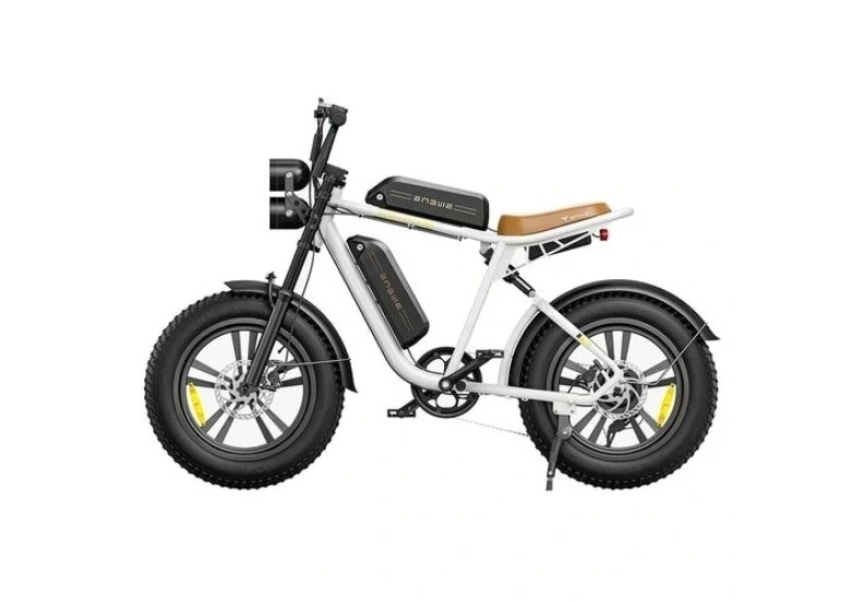 Електричний велосипед ENGWE M20 DUAL  ( 750 W, 26 Ah, 48V)
