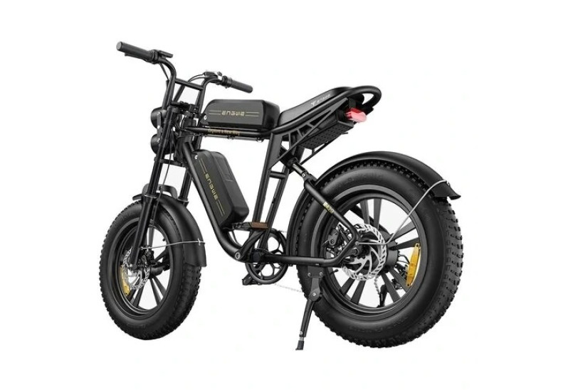 Електричний велосипед ENGWE M20 DUAL  ( 750 W, 26 Ah, 48V)
