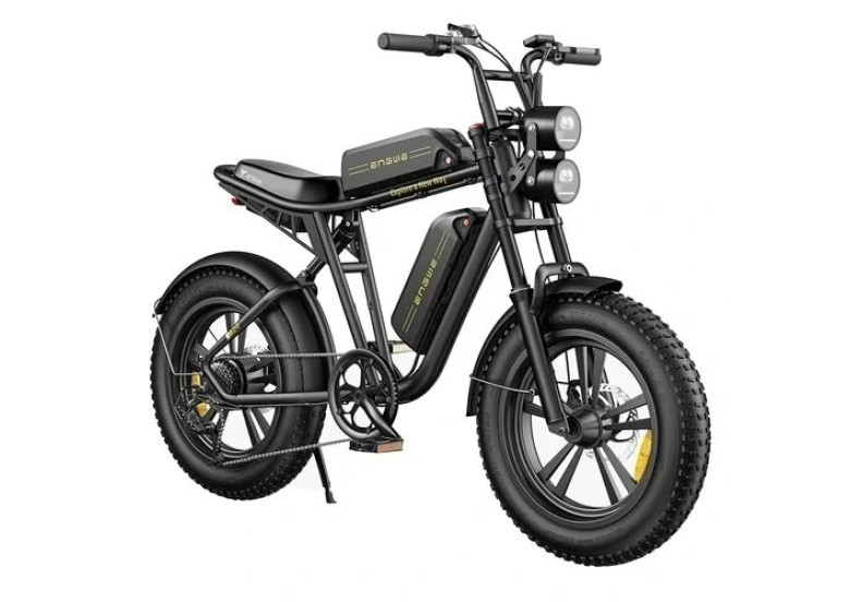 Електричний велосипед ENGWE M20 DUAL  ( 750 W, 26 Ah, 48V)