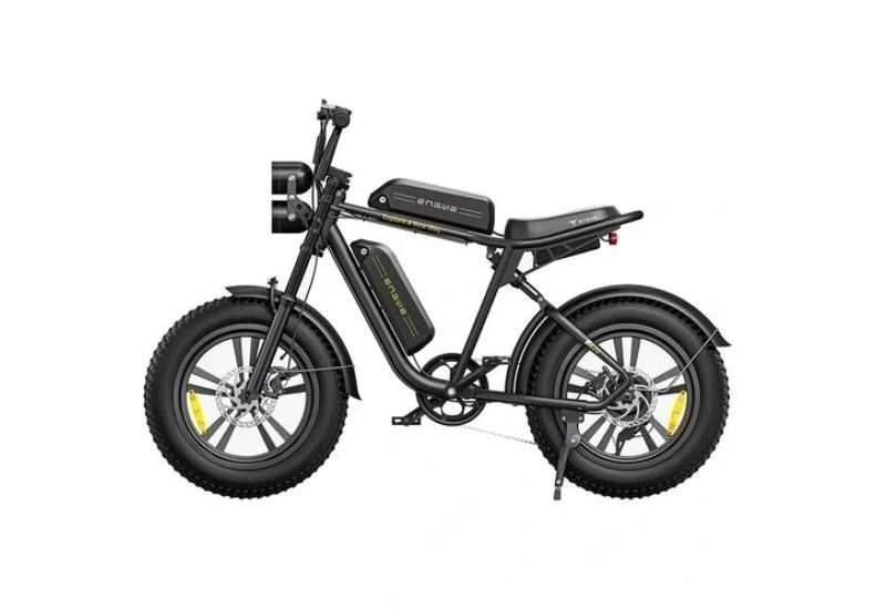Електричний велосипед ENGWE M20 DUAL  ( 750 W, 26 Ah, 48V)