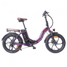 Електровелосипед  FAFREES F20 Pro  (250W, 36V, 18Ah)